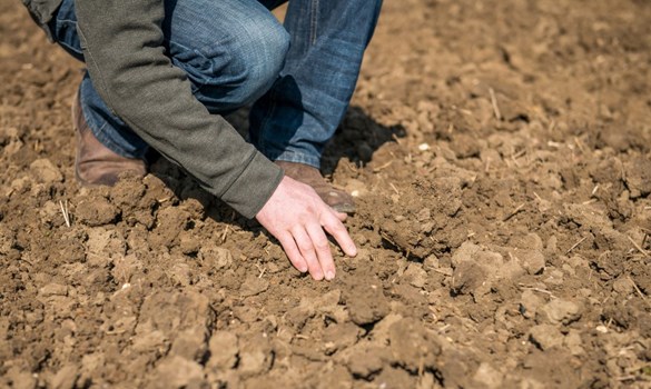 Richard Ling Monitor Farming0029. SFI